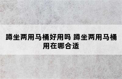 蹲坐两用马桶好用吗 蹲坐两用马桶用在哪合适